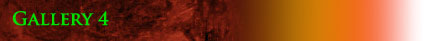 Gallery4